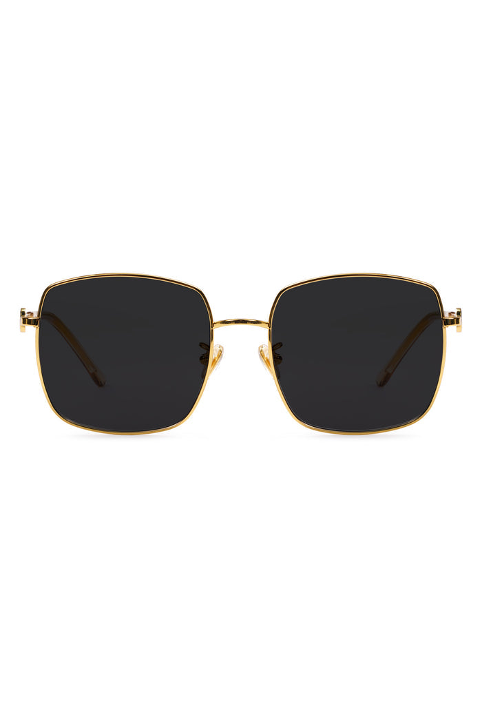 Becca Titanium Sunglasses - Black