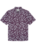 Eggplant