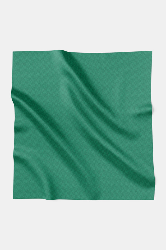 everyday tapis embossed 2.0 scarf in evergreen by buttonscarves