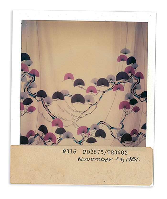 Polaroids of pink and gray leaf-patterned trees, vintage style, with date and label details shown.