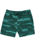 Green and teal cloud-striped swim shorts with drawstring waist and side pockets, front view.