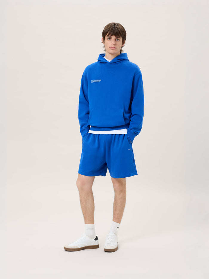 Mens Midweight Hoodie—Gaia Blue