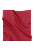 Today's Scarf - Red Dahlia